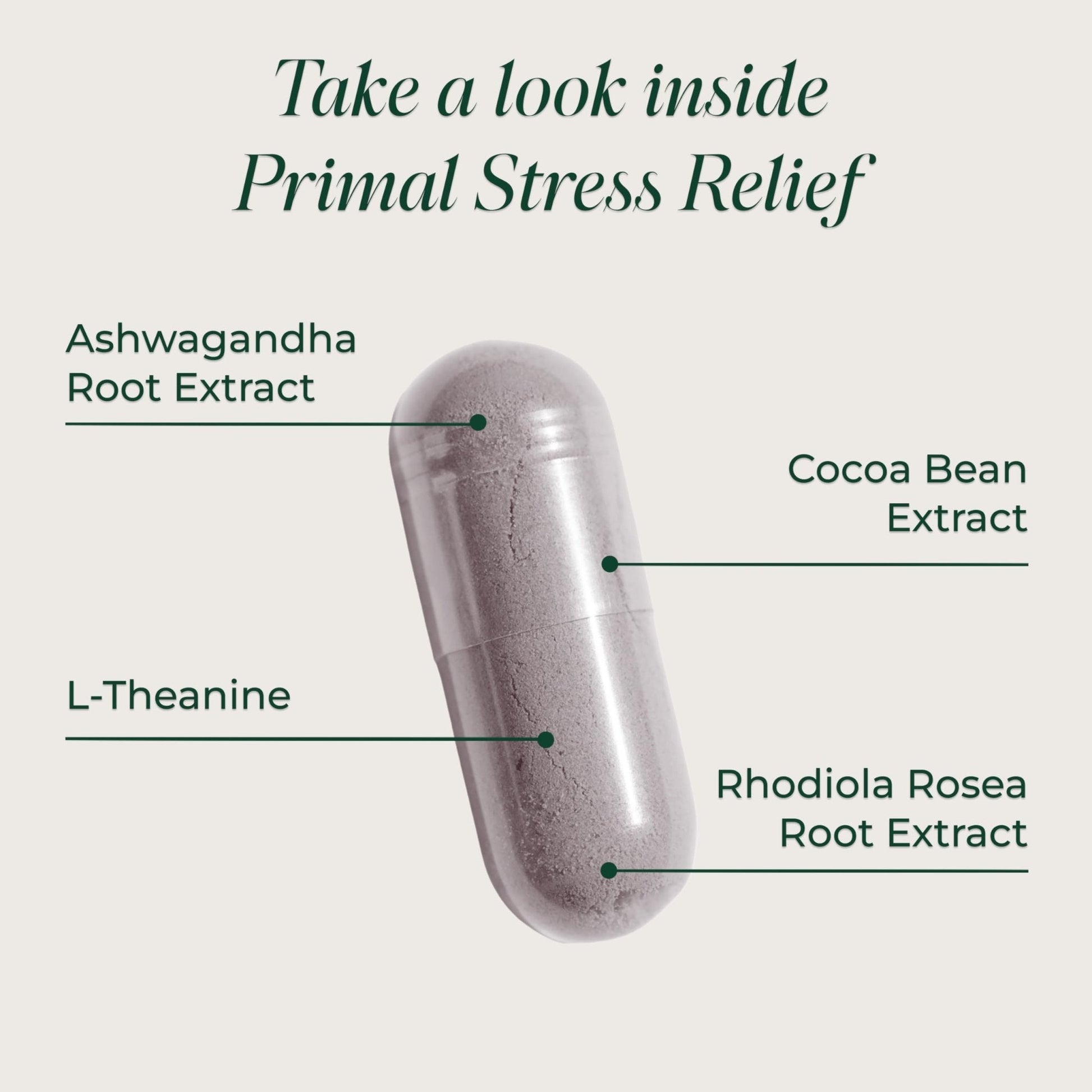Primal Harvest Stress Relief Supplement for Women and Men Pure Ashwagandha Root Extract, L-Theanine Supplements, 30 Capsules - Maple Wellness Supplements