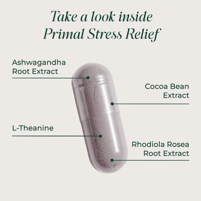 Primal Harvest Stress Relief Supplement for Women and Men Pure Ashwagandha Root Extract, L-Theanine Supplements, 30 Capsules - Maple Wellness Supplements