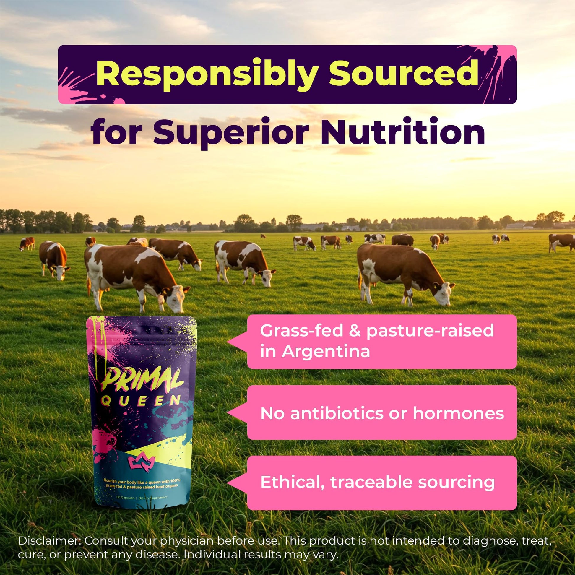 Primal Queen Female-Optimized Beef Organ Superfood Supplement (Beef Liver, Kidney, Heart, & 3 More) - 100% Grass Fed, Pasture Raised - 3rd Party & Clinically Tested - Maple Wellness Supplements