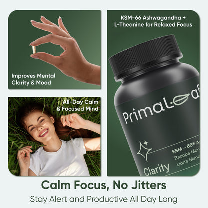 PrimaLeaf Clarity Nootropics Brain Supplement for Focus, Memory, & Stress Relief | Natural Nootropic with KSM66 Ashwagandha, Lions Mane, Bacopa, L Theanine | Cognitive & Mood Support | 60 Veg Capsules - Maple Wellness Supplements