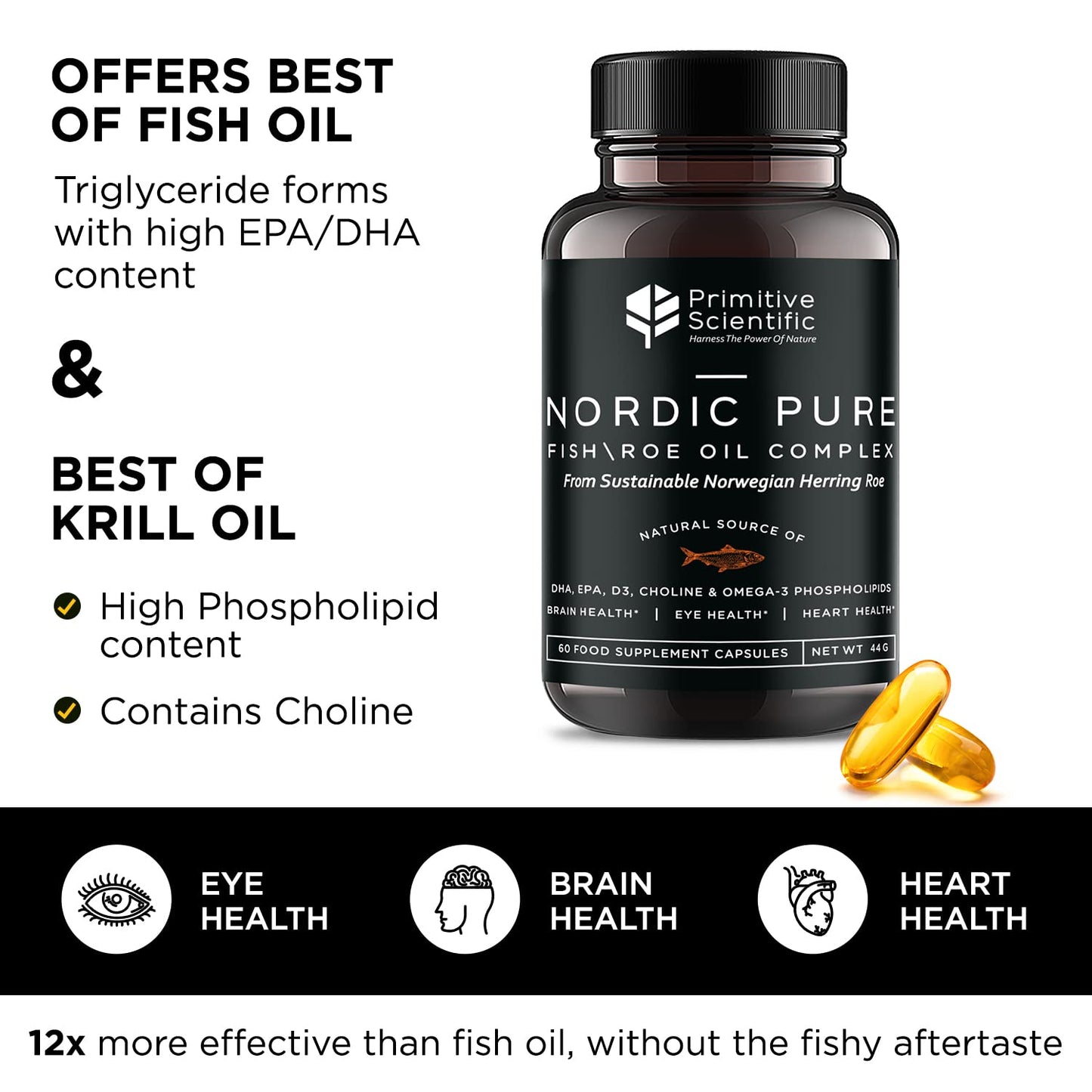 Primitive Scientific Nordic Pure Oil Complex (60 Fish Oil Capsules) for Brain, Immunity & Vision - Heart Supplement w/EPA, DHA, Vitamin D3, Choline - Omega 3 Supplements - Maple Wellness Supplements