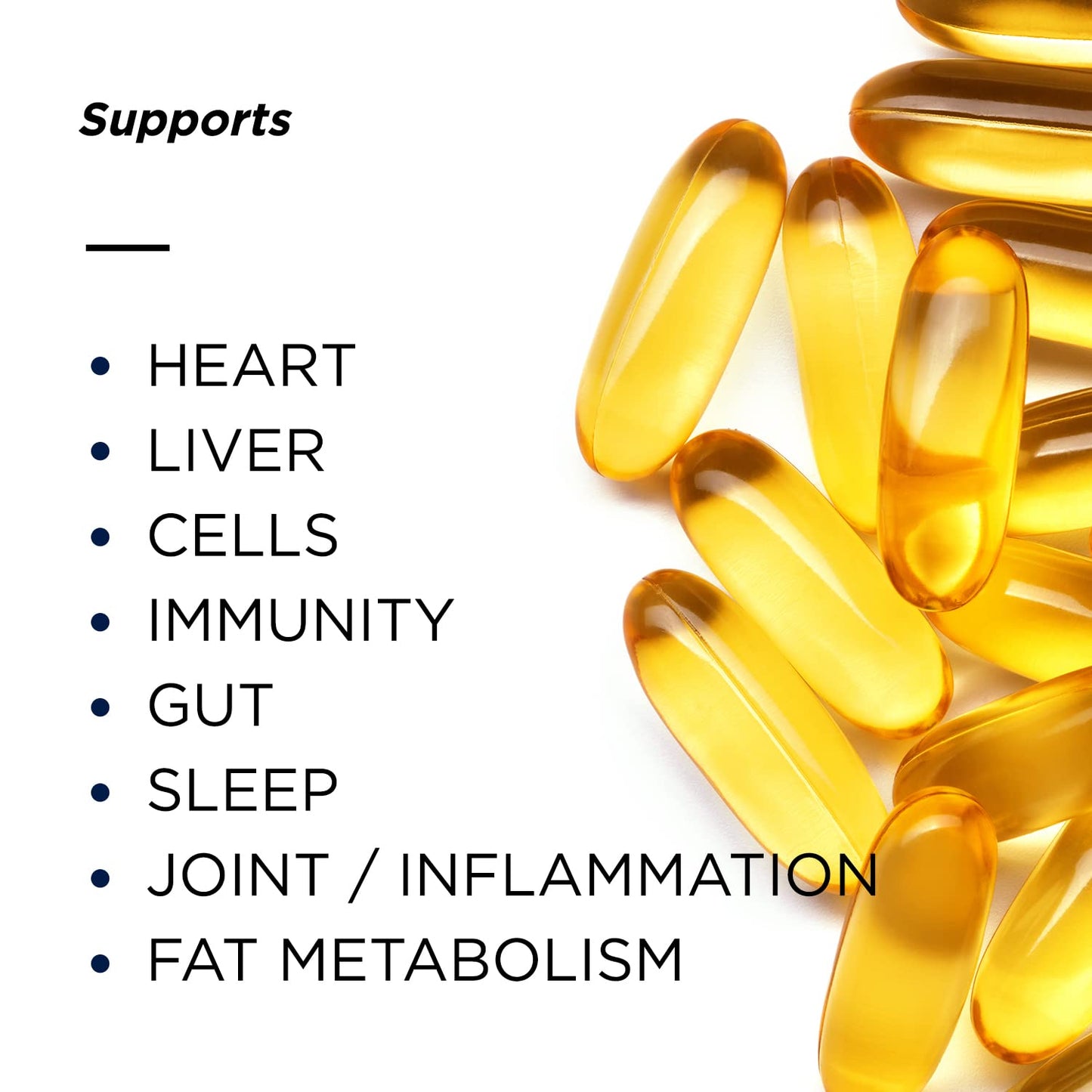 Primitive Scientific Nordic Pure Oil Complex (60 Fish Oil Capsules) for Brain, Immunity & Vision - Heart Supplement w/EPA, DHA, Vitamin D3, Choline - Omega 3 Supplements - Maple Wellness Supplements
