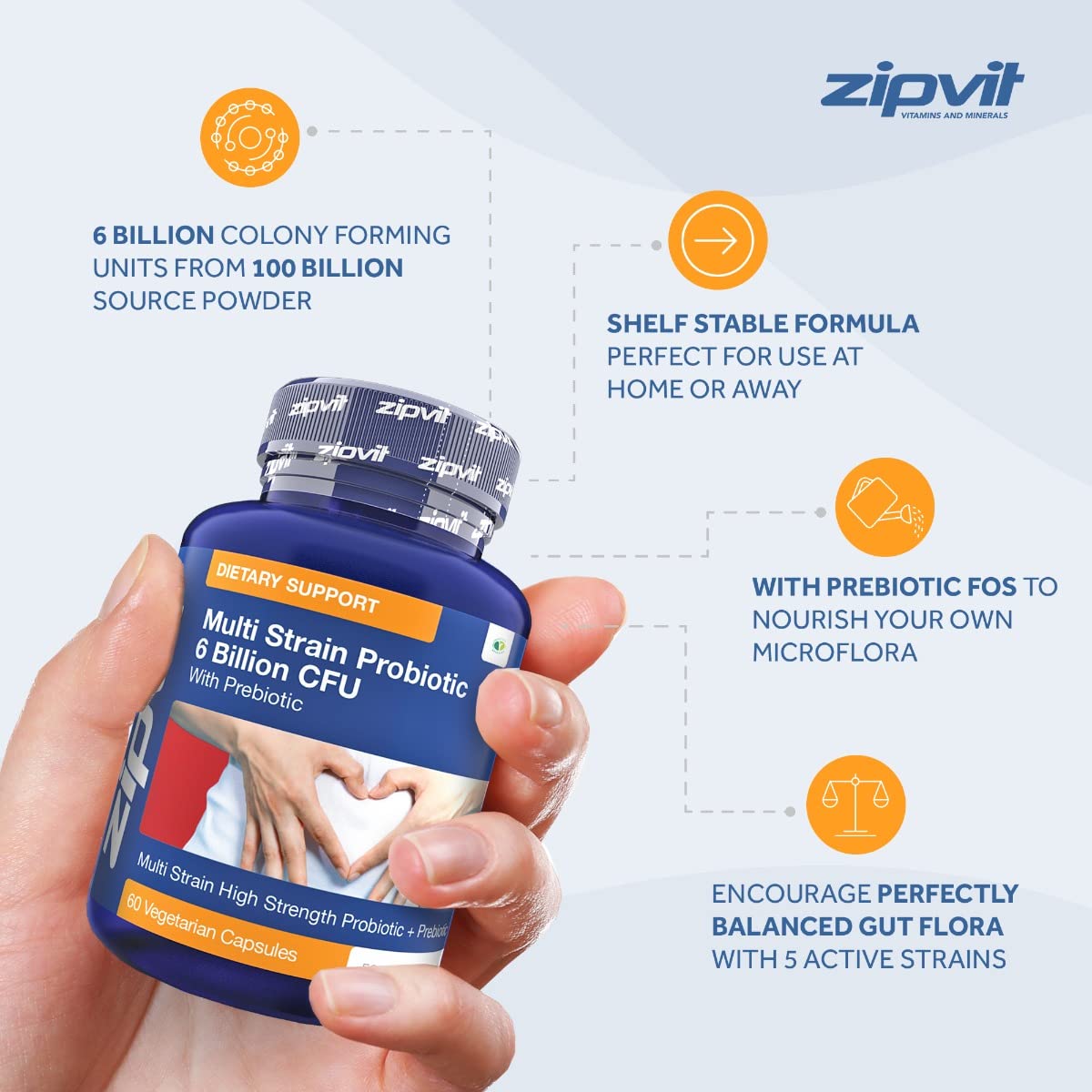 Probiotic 6 Billion Multi-Strain Live Bio Cultures Complex with Prebiotic, 60 Vegetarian - Maple Wellness Supplements