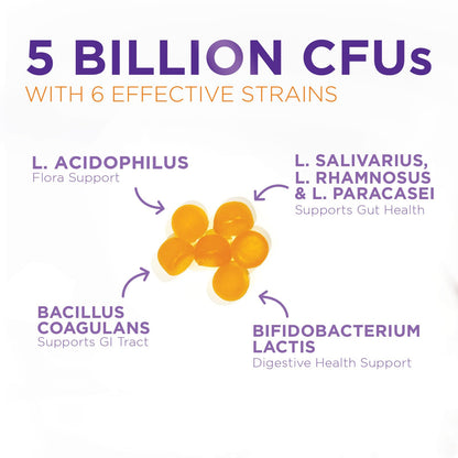 Probiotic Gummies - Advanced Multi-Strain Probiotic Formula - Gut & Digestive Health Support Gummy - Bacillus Coagulans 5 Billion CFU Per Serving, Daily Acidophilus Probiotics Supplement - 120 Gummies - Maple Wellness Supplements