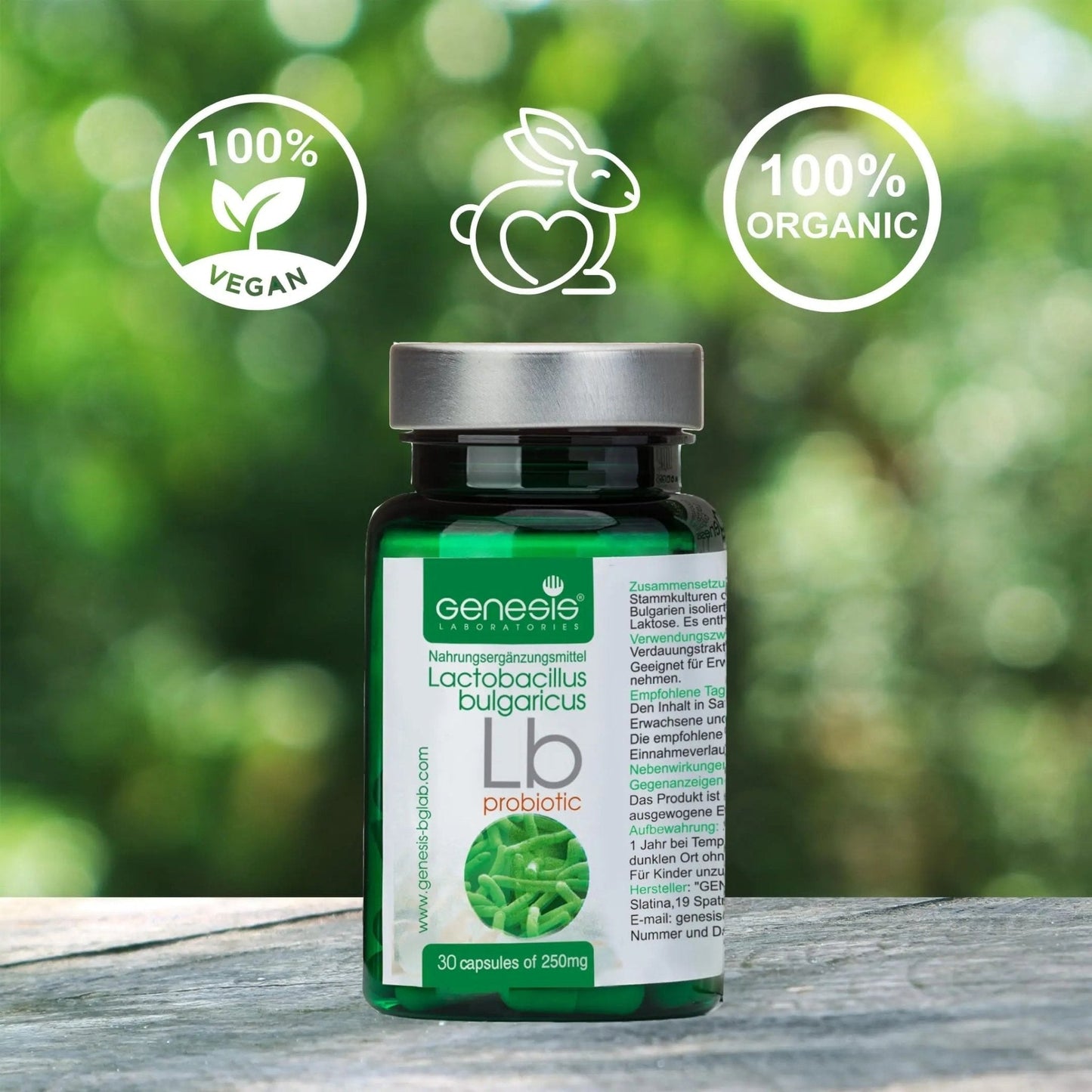 Probiotic Lactobacillus Supplement 30 Capsules with Lactobacillus Bulgaricus 250 mg Probiotic Digestive Immune Support Gut Health Probiotics for Digestive Health Anti Bloating - Maple Wellness Supplements