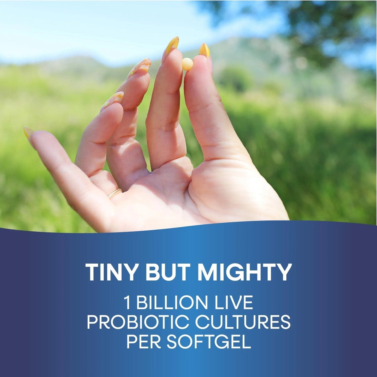 Probiotic Pearls Acidophilus Once Daily Probiotic Supplement, 1 Billion Live Cultures, Survives Stomach Acid, No Refrigeration, 90 Softgels - Maple Wellness Supplements