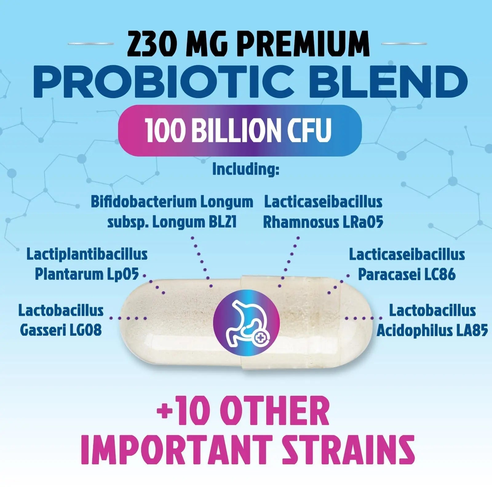 Probiotics 100 Billion CFU - 16 Premium Strains + Prebiotics - Best Probiotics for Women & Men - Supports Immune, Digestive & Gut Health, Supports Occasional Constipation, Gas & Bloating - 30 Capsules - Maple Wellness Supplements