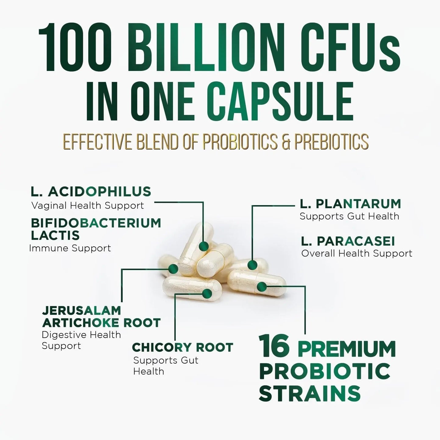 Probiotics 100 Billion CFU Per Serving - 16 Premium Probiotic Strains Prebiotics - Immune Support, Gut Health, Occasional Constipation, Gas & Bloating, Probiotics Supplement, USA Bottled, 60 Capsules - Maple Wellness Supplements