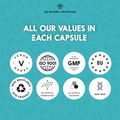 Probiotics 150 Billion CFU - 20 Strains with Prebiotics & Zinc. Highest Concentration - Maple Wellness Supplements