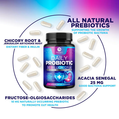 Probiotics 50 Billion CFU Per Serving - 10 Premium Strains + Digestive Enzymes & Prebiotics - Best Probiotic for Women & Men, Supports Immune, - Maple Wellness Supplements