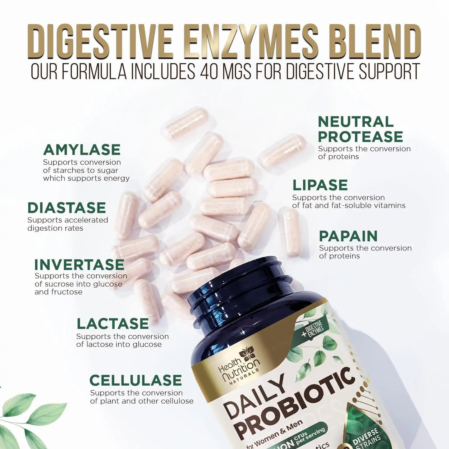 Probiotics 50 Billion CFU per Serving - 10 Strains + Prebiotics - Digestive Health, Gut & Immune Support - Occasional Constipation, Gas & Bloating Support for Women & Men, Bottled USA - 60 Capsules - Maple Wellness Supplements