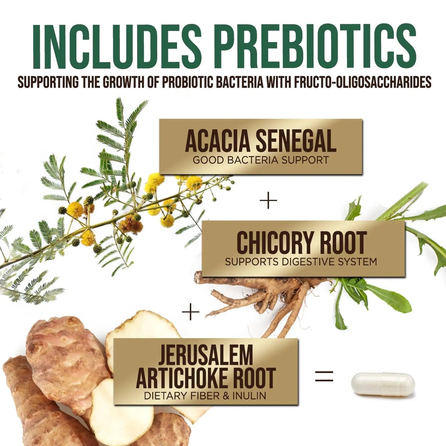 Probiotics 50 Billion CFU per Serving - 10 Strains + Prebiotics - Digestive Health, Gut & Immune Support - Occasional Constipation, Gas & Bloating Support for Women & Men, Bottled USA - 60 Capsules - Maple Wellness Supplements