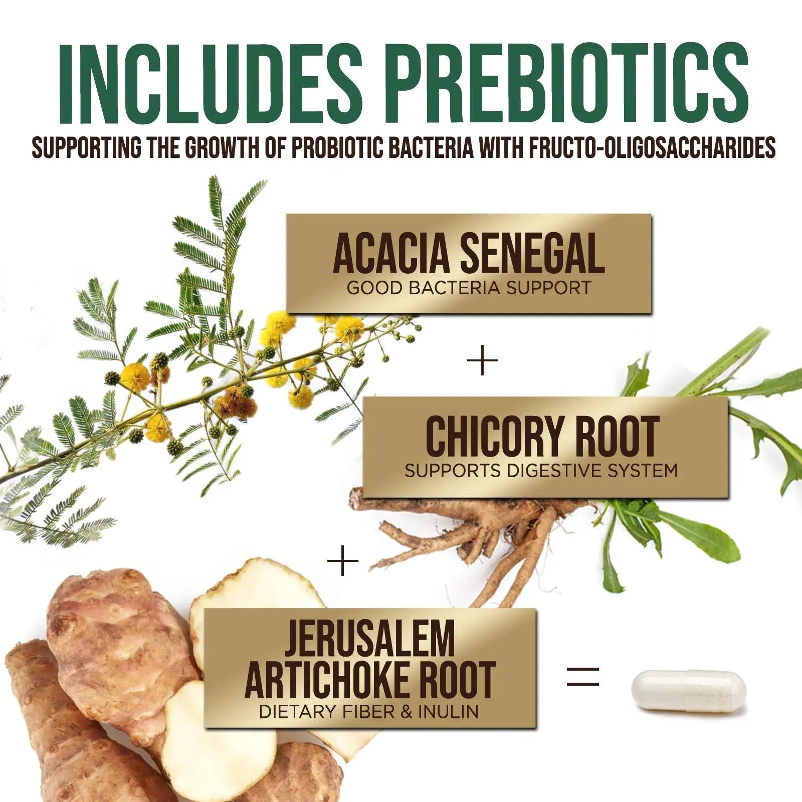 Probiotics 50 Billion CFU per Serving - 10 Strains + Prebiotics - Digestive Health, Gut & Immune Support - Occasional Constipation, Gas & Bloating Support for Women & Men, Bottled USA - 60 Capsules - Maple Wellness Supplements