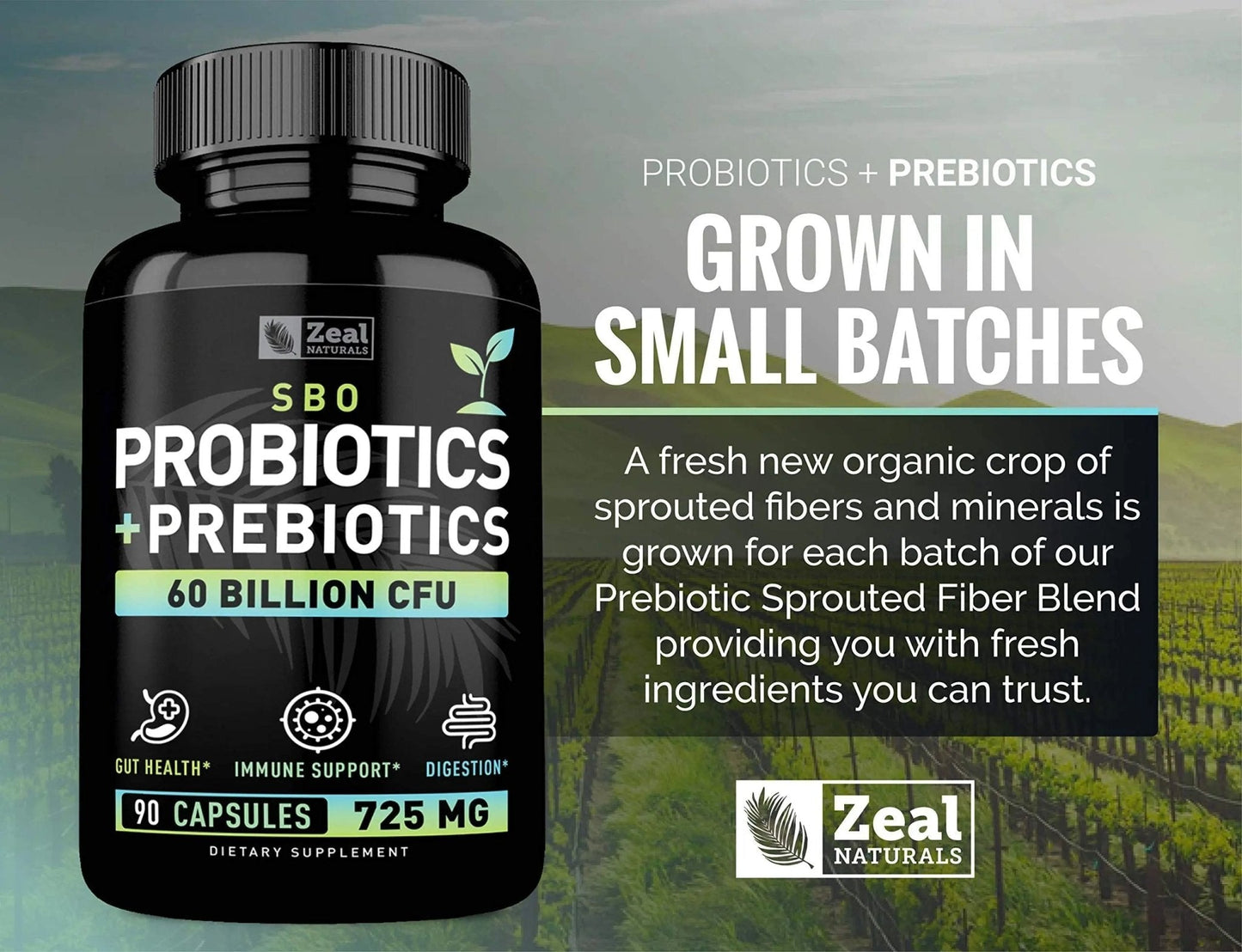 Probiotics and Prebiotics + SBO Probiotics (60 Billion CFU | 90 Capsules) Acidophilus Probiotic w. Saccharomyces Boulardii, Bifidobacterium + Spore Probiotic & Organic Sprouted Prebiotic Fiber Blend - Maple Wellness Supplements