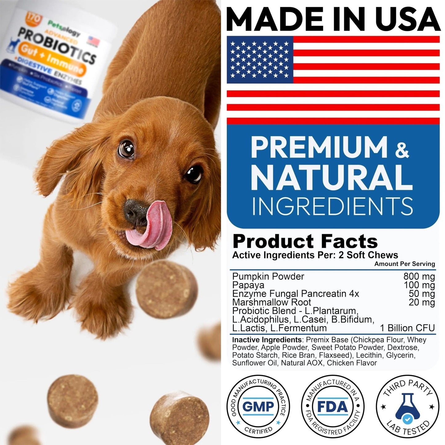 Probiotics for Dogs - 170 Dog Probiotics Chews - Digestive Enzymes & Prebiotics - Support Gut Health, Diarrhea, Gas & Constipation Relief - Itchy Skin, Allergies, Yeast Balance - Advanced Supplement - Maple Wellness Supplements