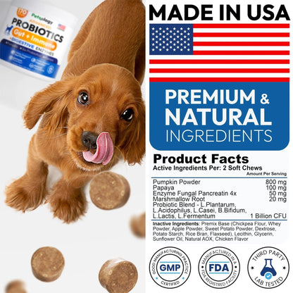Probiotics for Dogs - 170 Dog Probiotics Chews - Digestive Enzymes & Prebiotics - Support Gut Health, Diarrhea, Gas & Constipation Relief - Itchy Skin, Allergies, Yeast Balance - Advanced Supplement - Maple Wellness Supplements