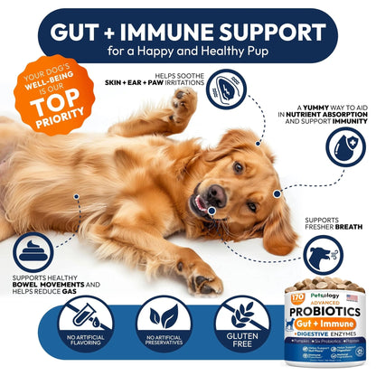 Probiotics for Dogs - 170 Dog Probiotics Chews - Digestive Enzymes & Prebiotics - Support Gut Health, Diarrhea, Gas & Constipation Relief - Itchy Skin, Allergies, Yeast Balance - Advanced Supplement - Maple Wellness Supplements