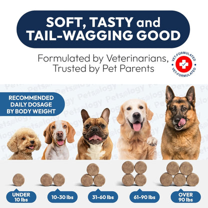 Probiotics for Dogs - 170 Dog Probiotics Chews - Digestive Enzymes & Prebiotics - Support Gut Health, Diarrhea, Gas & Constipation Relief - Itchy Skin, Allergies, Yeast Balance - Advanced Supplement - Maple Wellness Supplements