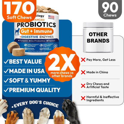 Probiotics for Dogs - 170 Dog Probiotics Chews - Digestive Enzymes & Prebiotics - Support Gut Health, Diarrhea, Gas & Constipation Relief - Itchy Skin, Allergies, Yeast Balance - Advanced Supplement - Maple Wellness Supplements