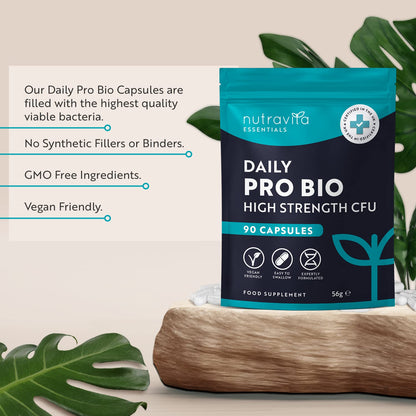 Probiotics for Gut Health - 90 Vegan Capsules (Not Tablets) for Bloating Relief - Maple Wellness Supplements