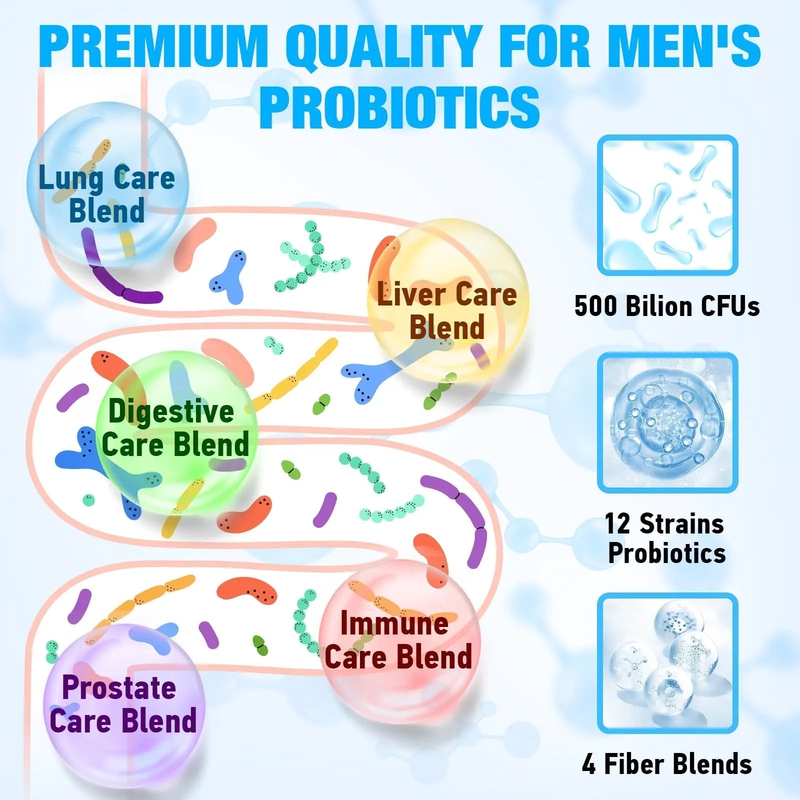 Probiotics for Men, 500 Billion CFUs 12 Strains, Mens Probiotics for Gut Health*, Digestive Health*, Energy, Prostate & Urinary Tract*, with Cranberry, Goji, Turmeric & Amla, Shelf Stable, 60 Caps - Maple Wellness Supplements