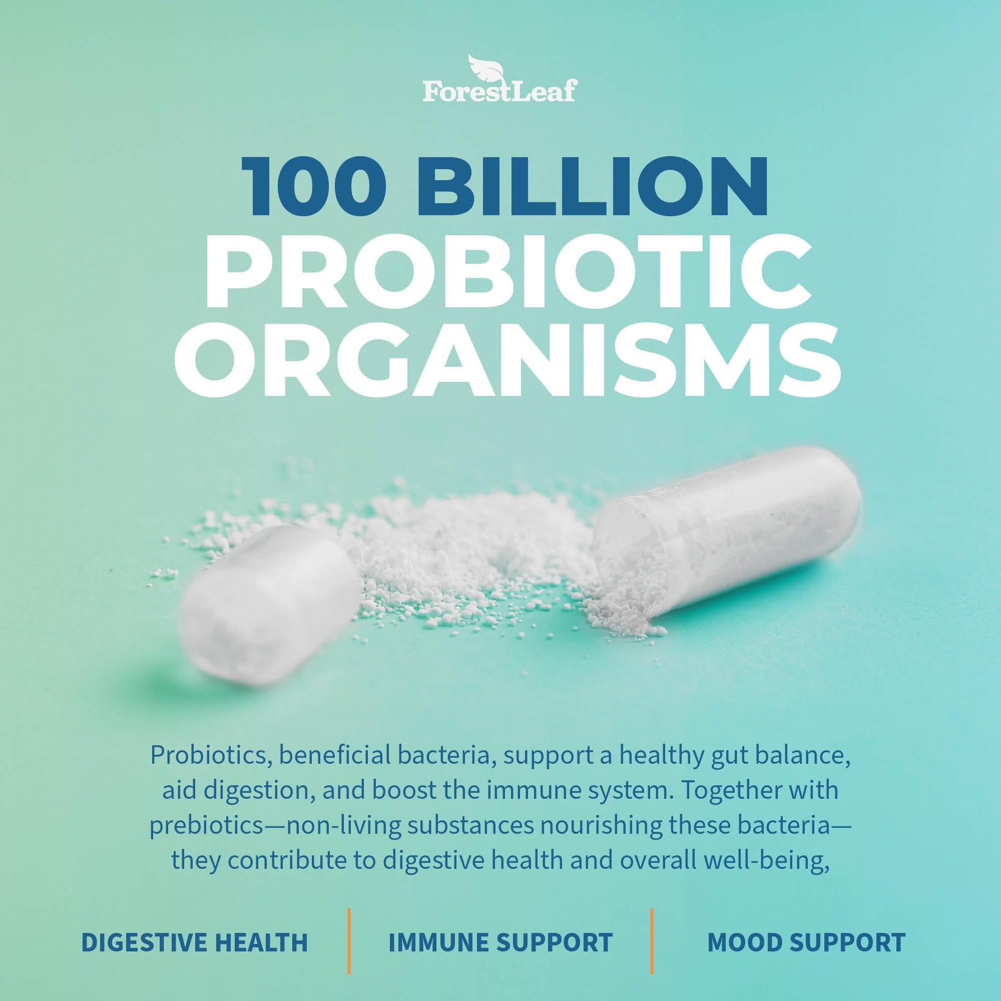 Probiotics for Men and Women, 100 Billion CFU, 26 Unique Strains, Men's and Women's Probiotic and Prebiotics Support Digestive Health, Gut Wellness, Energy, - Maple Wellness Supplements