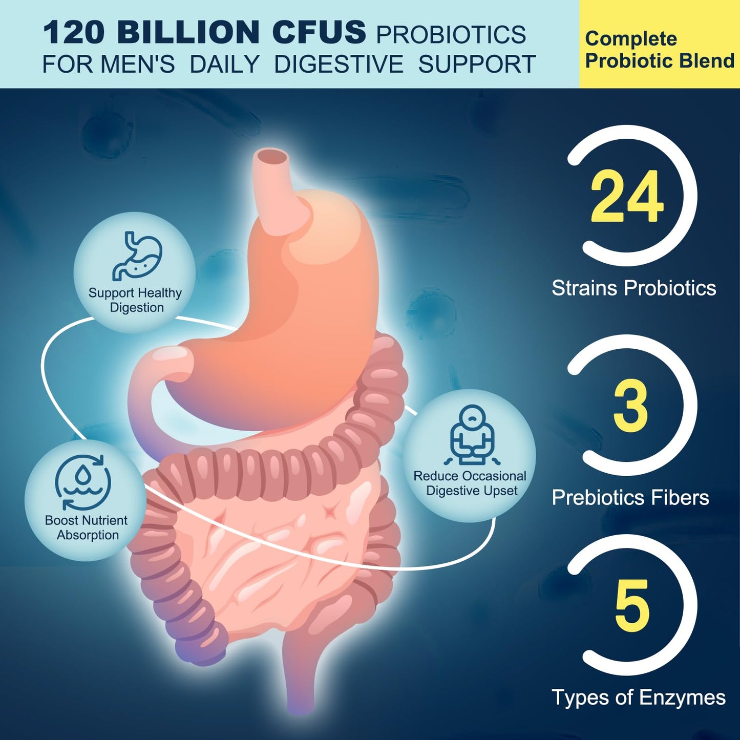 Probiotics for Men Digestive Health, 120 Billion CFUs Mens Probiotic with Digestive Enzymes & Prebiotics & Saw Palmetto & Cranberry for Gut, Prostate & Urinary - Maple Wellness Supplements