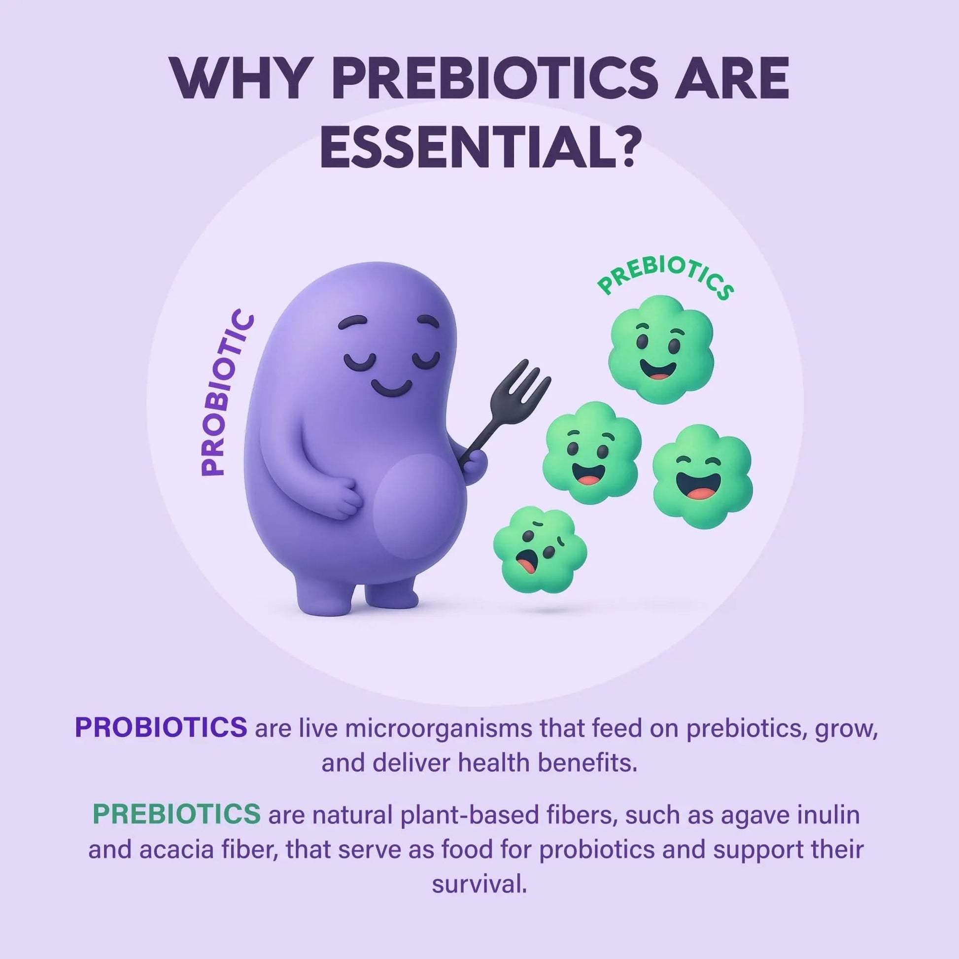 Probiotics for Women 50 Billion CFU - Vaginal Probiotics Clinically Proven for Yeast & pH Balance - Digestion & Bloating Relief - 8 Strains + Prebiotics - Delay Release - Made in USA, 30 Capsules - Maple Wellness Supplements