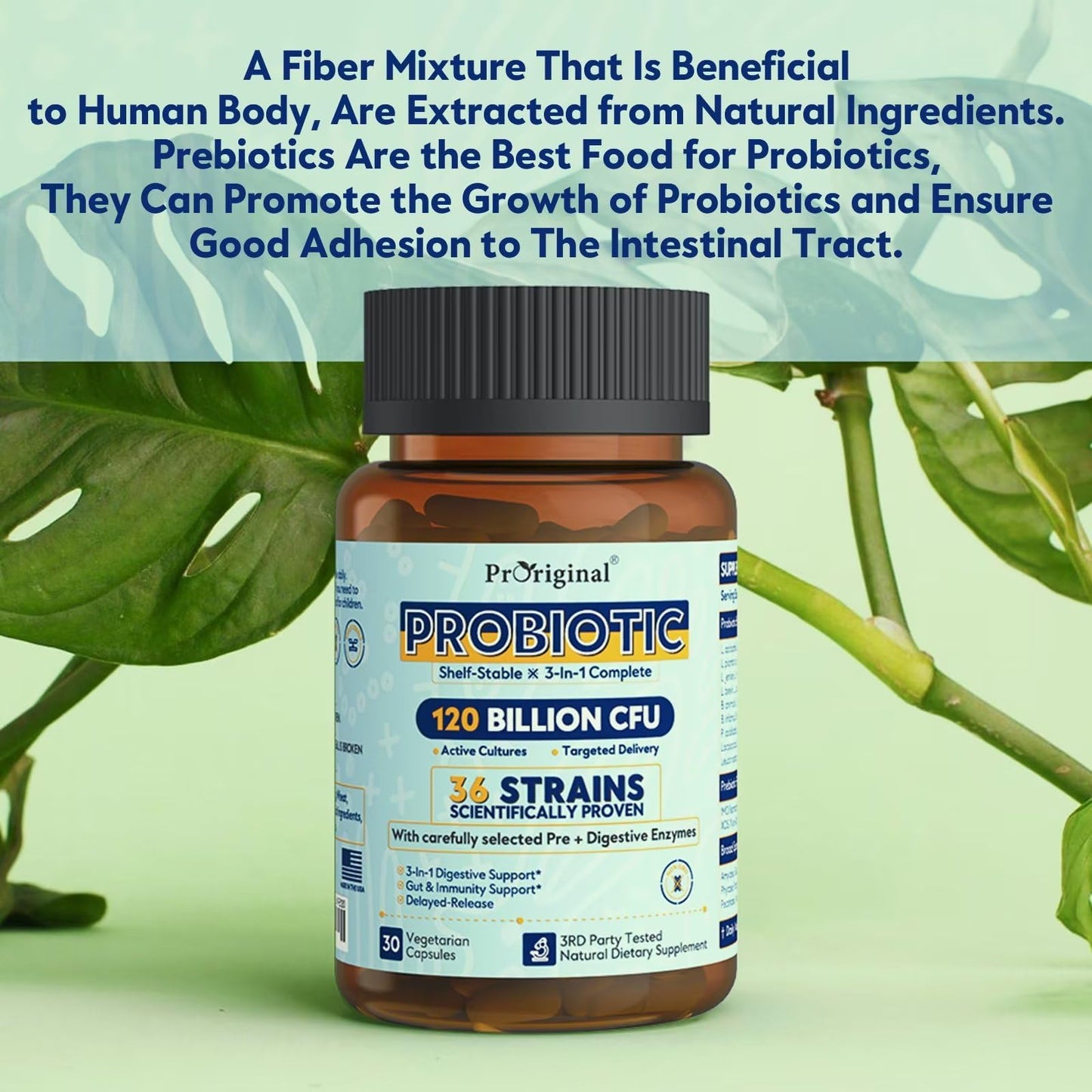 Probiotics for Women & Men 120 Billion CFU with 36 Probiotic Strains for Digestive Health and Gut Health, Delayed Release Capsules, Stomach Acid Resistant, - Maple Wellness Supplements
