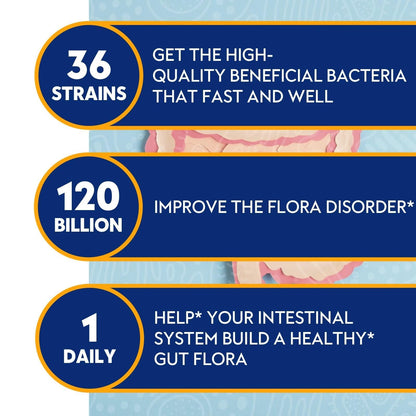 Probiotics for Women & Men 120 Billion CFU with 36 Probiotic Strains for Digestive Health and Gut Health, Delayed Release Capsules, Stomach Acid Resistant, - Maple Wellness Supplements