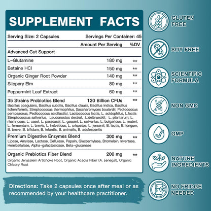 Probiotics for Women-Men Digestive Health with 120 Billion CFUs, Prebiotics and Probiotics for Women-Men, Digestive Enzymes, Nutrient Absorption, Immune Support - Maple Wellness Supplements