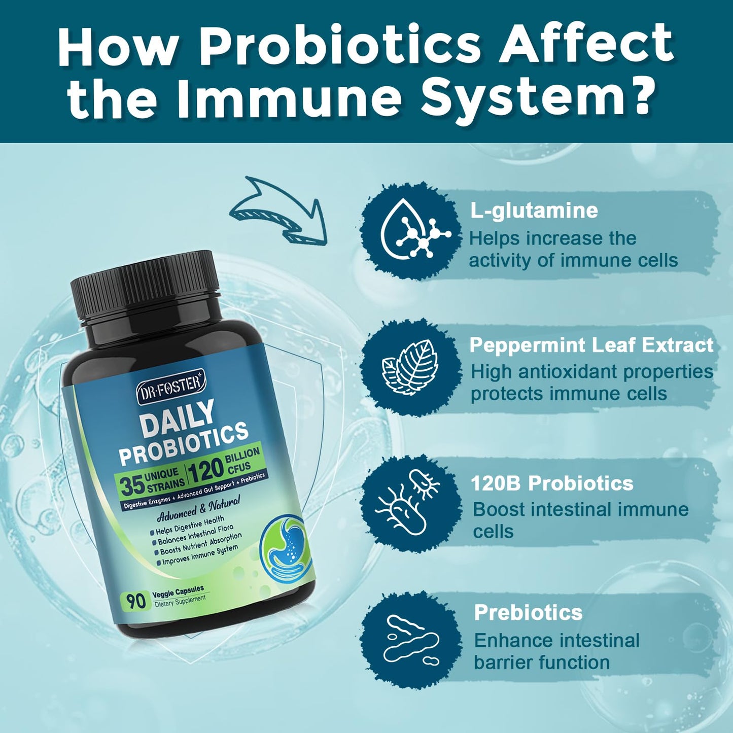 Probiotics for Women-Men Digestive Health with 120 Billion CFUs, Prebiotics and Probiotics for Women-Men, Digestive Enzymes, Nutrient Absorption, Immune Support - Maple Wellness Supplements