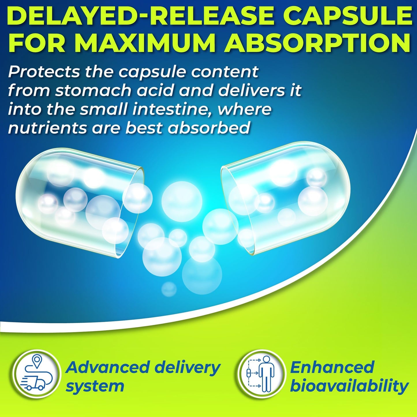 Probiotics with Digestive Enzymes and Prebiotic for Women and Men - 3-In-1 Vegan Probiotic Prebiotic Multi Enzyme Complex for Gut Health - Maple Wellness Supplements