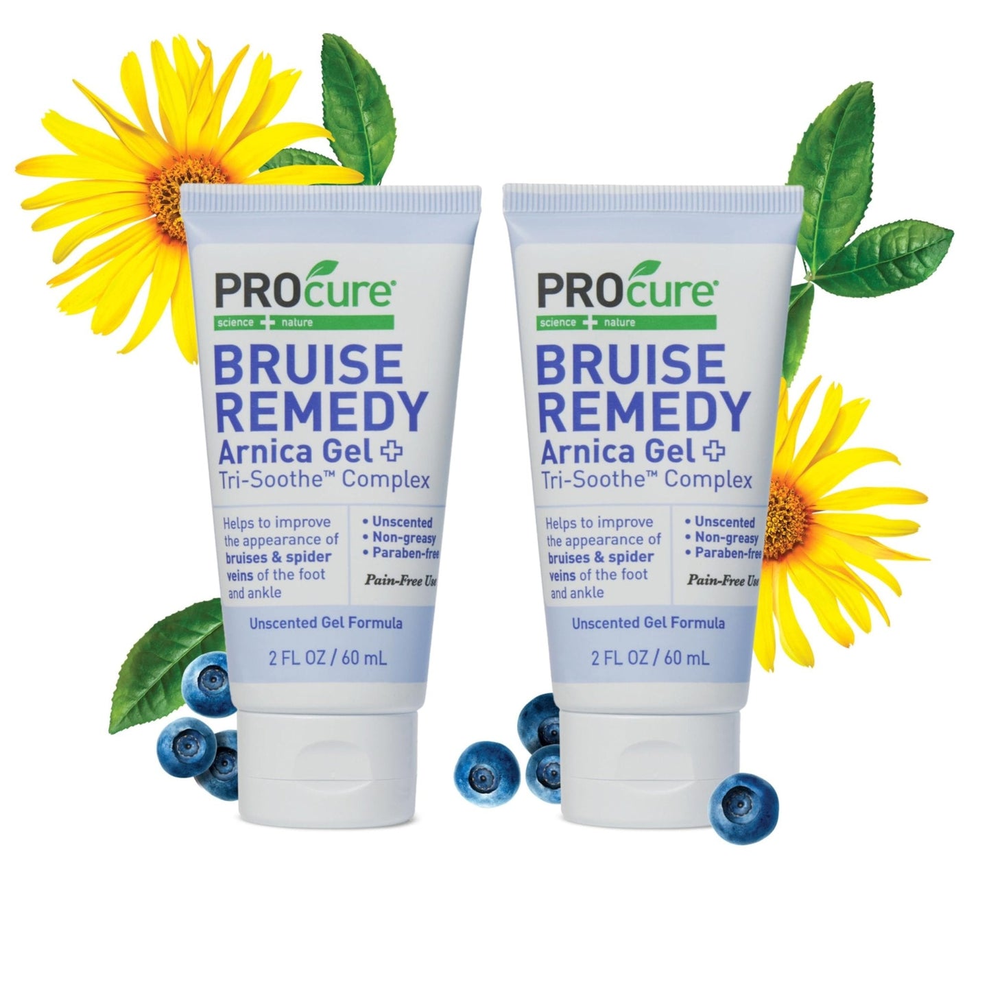 PROcure Arnica & MSM Bruise Remedy Gel – Paraben-Free, Unscented Arnica Montana Gel for Bruising, Spider Veins & Skin Discoloration – 2 Pack - Maple Wellness Supplements
