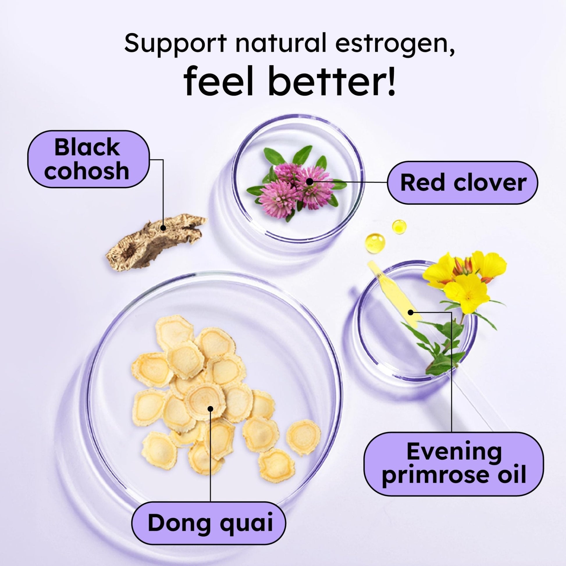 Proov - Boost Supplement for Women - Promotes Estrogen Production - Fertility & Menopausal Support for Women - Hormonal Balance - Evening Primrose Oil Red Clover, Dong Quai, Black Cohosh - 30 Capsules - Maple Wellness Supplements