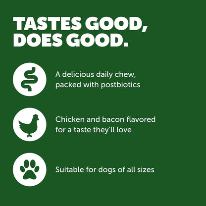 Protexin Daily Care Gut+ Mobility | 60 Dog Chews, Chicken and Bacon Flavor Dog Supplement | Probiotics for Dogs, Dog Postbiotics - Maple Wellness Supplements