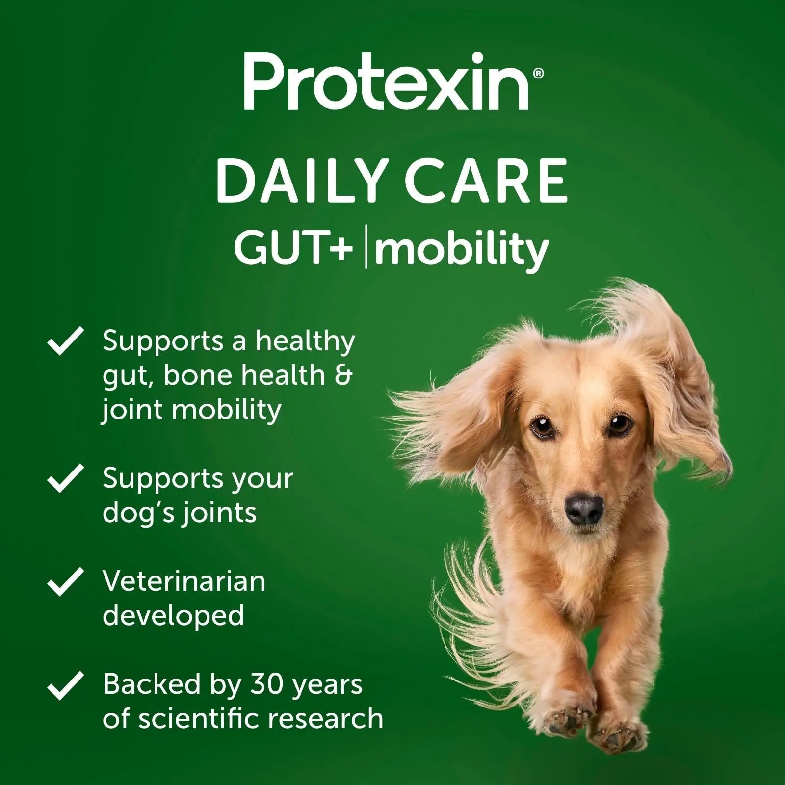 Protexin Daily Care Gut+ Mobility | 60 Dog Chews, Chicken and Bacon Flavor Dog Supplement | Probiotics for Dogs, Dog Postbiotics - Maple Wellness Supplements