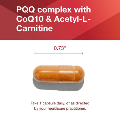 PROTOCOL FOR LIFE BALANCE PQQ Complex - Mitochondrial Health - with CoQ10 & L Carnitine - B Vitamin - Supplement for Energy - 30 Veg Caps - Maple Wellness Supplements