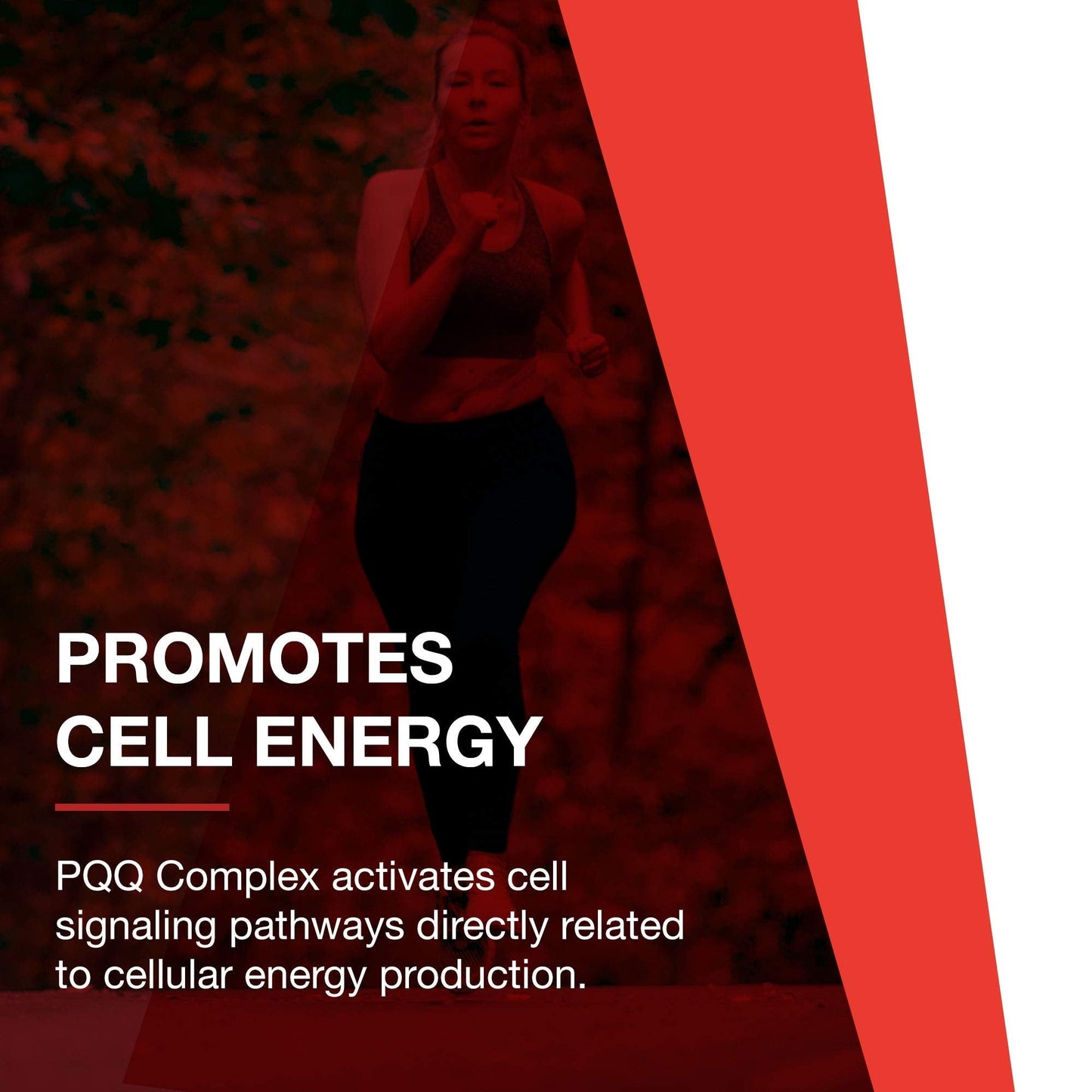 PROTOCOL FOR LIFE BALANCE PQQ Complex - Mitochondrial Health - with CoQ10 & L Carnitine - B Vitamin - Supplement for Energy - 30 Veg Caps - Maple Wellness Supplements