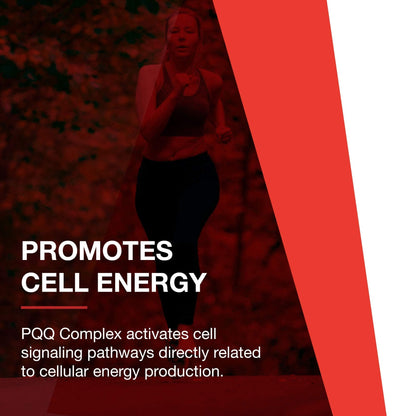 PROTOCOL FOR LIFE BALANCE PQQ Complex - Mitochondrial Health - with CoQ10 & L Carnitine - B Vitamin - Supplement for Energy - 30 Veg Caps - Maple Wellness Supplements
