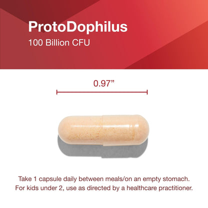 PROTOCOL FOR LIFE BALANCE Proto Dophilus 100 Billion 10 Strains - Support Digestive Gut Health Immune System & Detox - Dairy, Wheat, Soy & Gluten Free - Vegan & Nut Free - 30 Veg Capsules - Maple Wellness Supplements