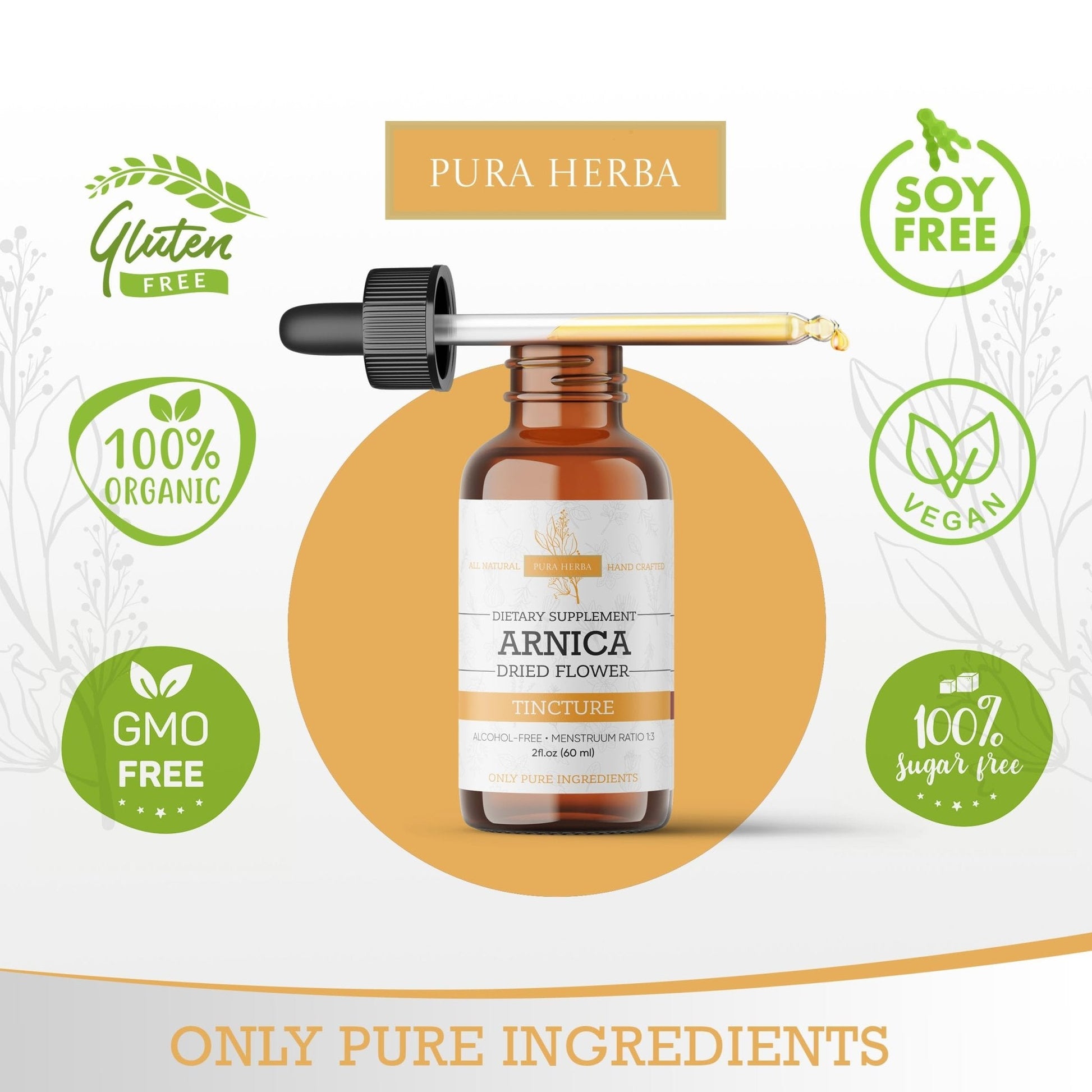 Pura Herba Arnica Liquid Extract – Alcohol-Free, Vegan, Supports Muscle Recovery & Joint Comfort, Fast-Absorbing Tincture, Made in USA – 2 Fl Oz - Maple Wellness Supplements