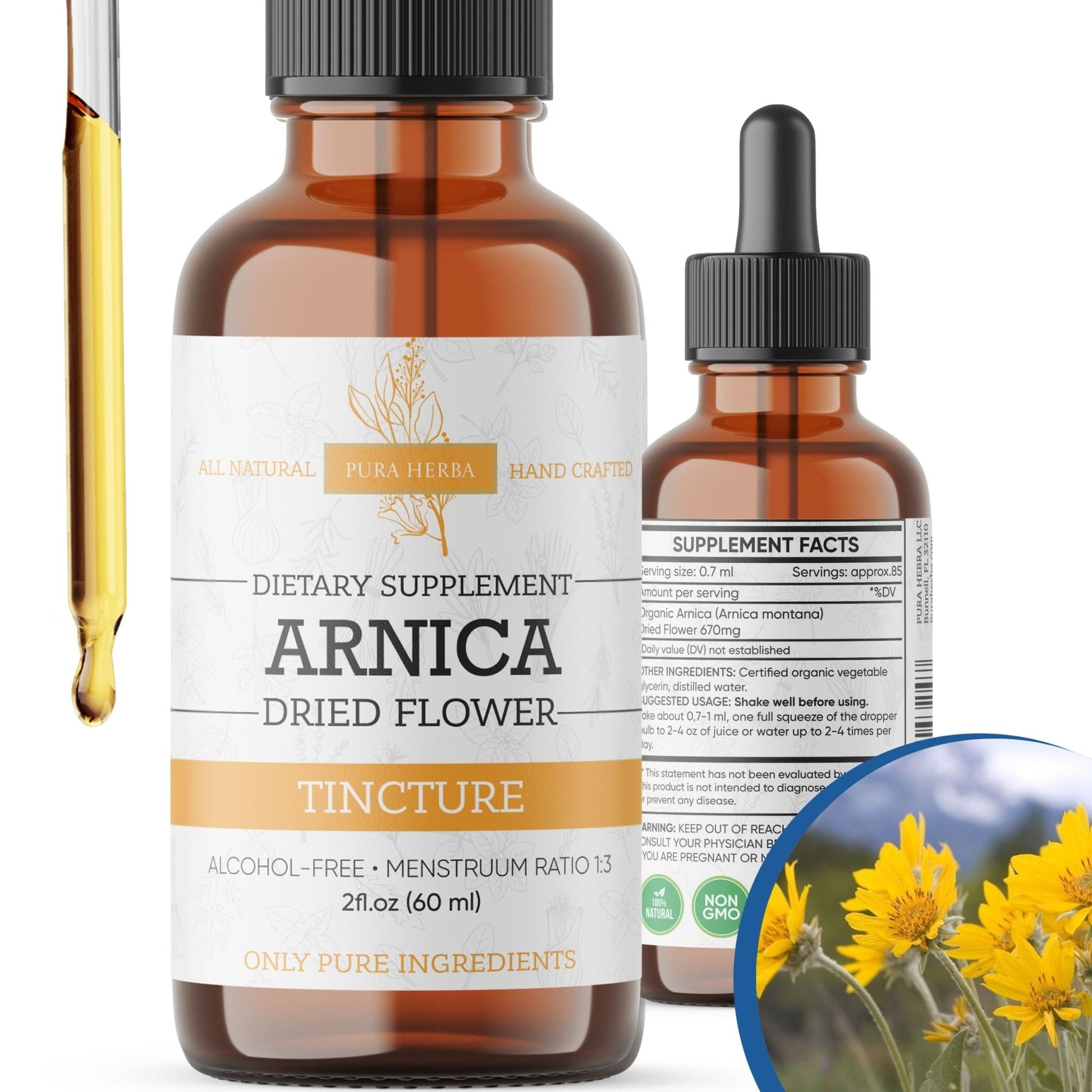 Pura Herba Arnica Liquid Extract – Alcohol-Free, Vegan, Supports Muscle Recovery & Joint Comfort, Fast-Absorbing Tincture, Made in USA – 2 Fl Oz - Maple Wellness Supplements