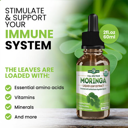 PURA VIDA MORINGA Leaf Extract Liquid Drops - USDA Organic Certified - Highly Purified, Bioavailable & Faster Absorption than Moringa Powder or Capsules - Maple Wellness Supplements