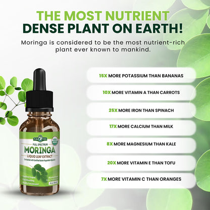 PURA VIDA MORINGA Leaf Extract Liquid Drops - USDA Organic Certified - Highly Purified, Bioavailable & Faster Absorption than Moringa Powder or Capsules - Maple Wellness Supplements