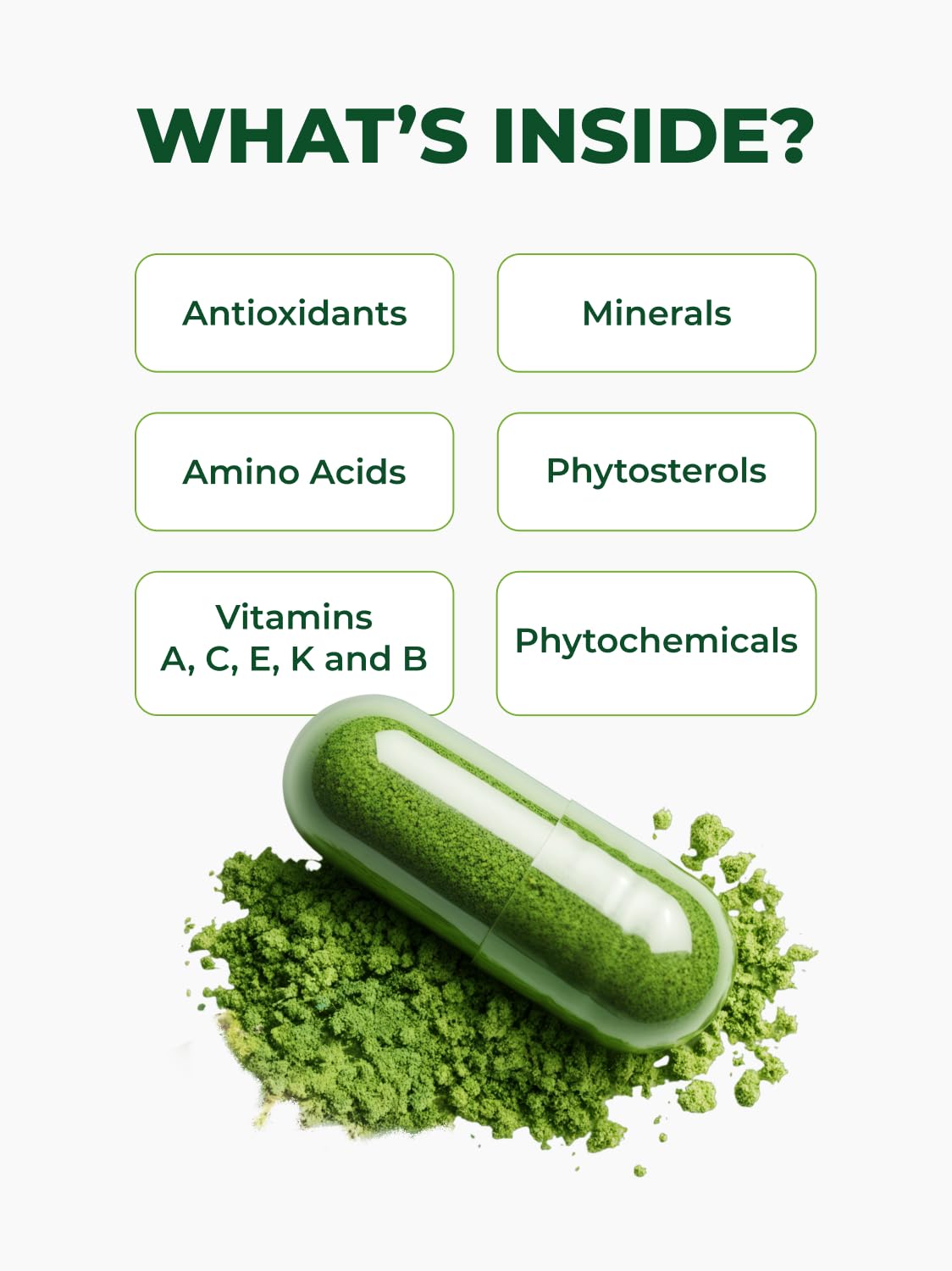 PURA VIDA MORINGA Organic Moringa Capsules, Pure Moringa Leaf Powder Single Origin for Energy, Metabolism & Immune Support - Maple Wellness Supplements