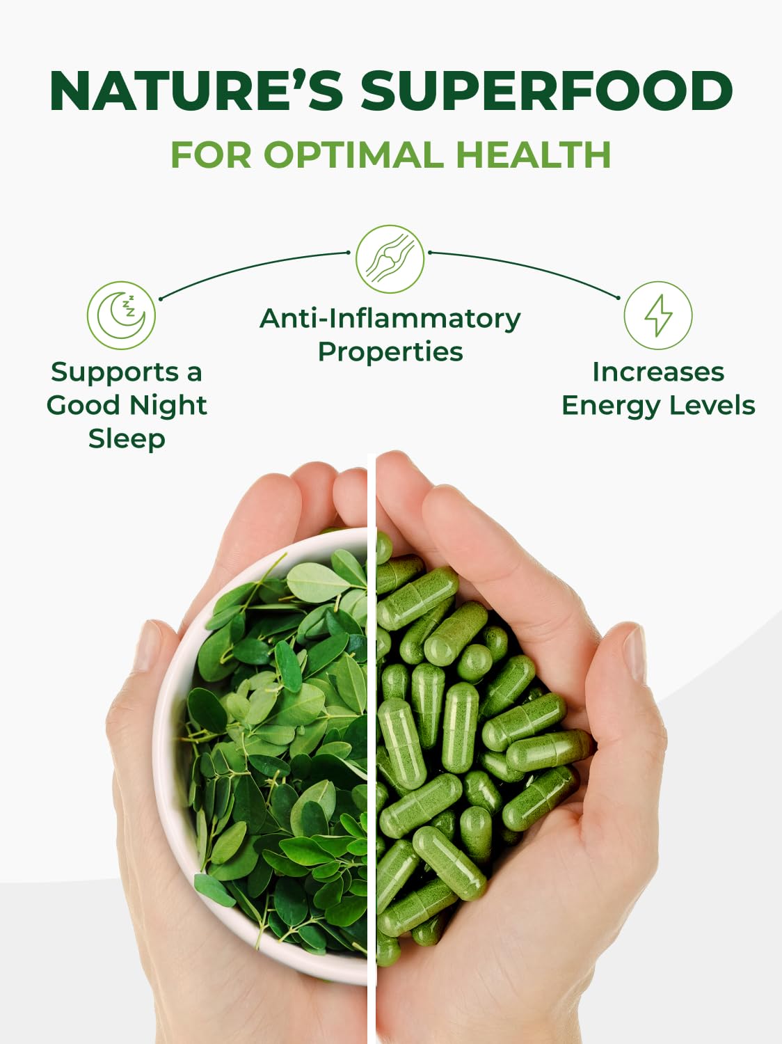 PURA VIDA MORINGA Organic Moringa Capsules, Pure Moringa Leaf Powder Single Origin for Energy, Metabolism & Immune Support - Maple Wellness Supplements