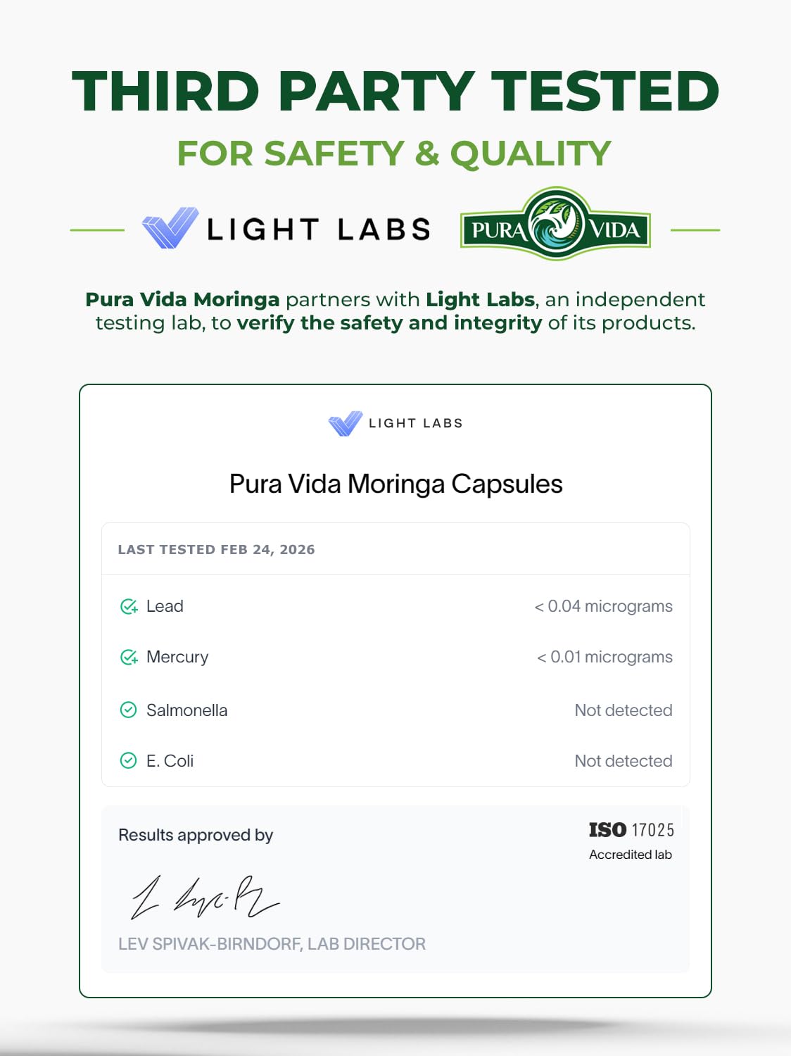 PURA VIDA MORINGA Organic Moringa Powder, Premium 100% Leaf Powder Single Origin - USDA Organic Moringa Oleifera Leaf - Maple Wellness Supplements