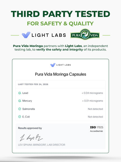PURA VIDA MORINGA Organic Moringa Powder, Premium 100% Leaf Powder Single Origin - USDA Organic Moringa Oleifera Leaf - Maple Wellness Supplements