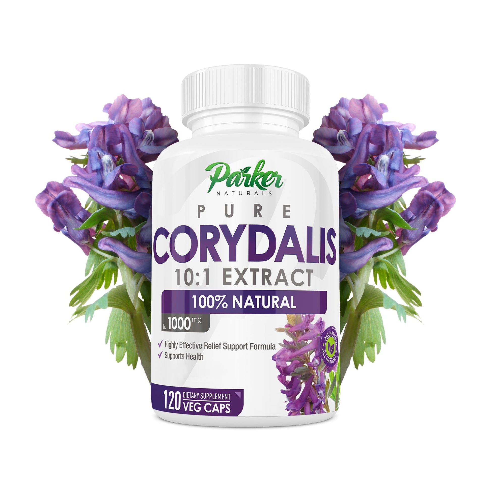 Pure Corydalis Root Extract Capsule - 1000mg Strength, 10:1 Corydalis Yanhusuo Extract, Natural Relief, Long Lasting, 100% Vegetarian, 60 Servings, 120 Count - Maple Wellness Supplements
